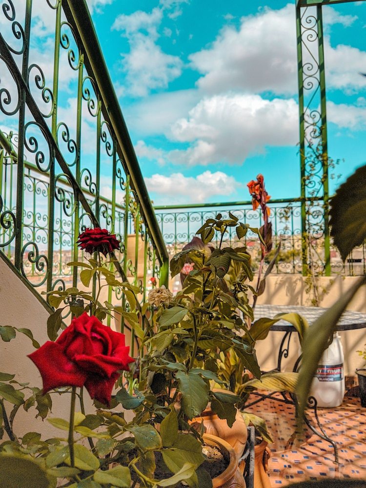 Hostal Hostel El Blida