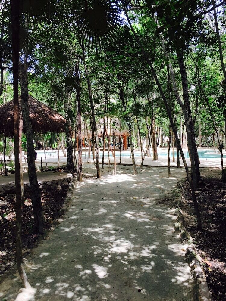 Apartamentos Mexico Lindo