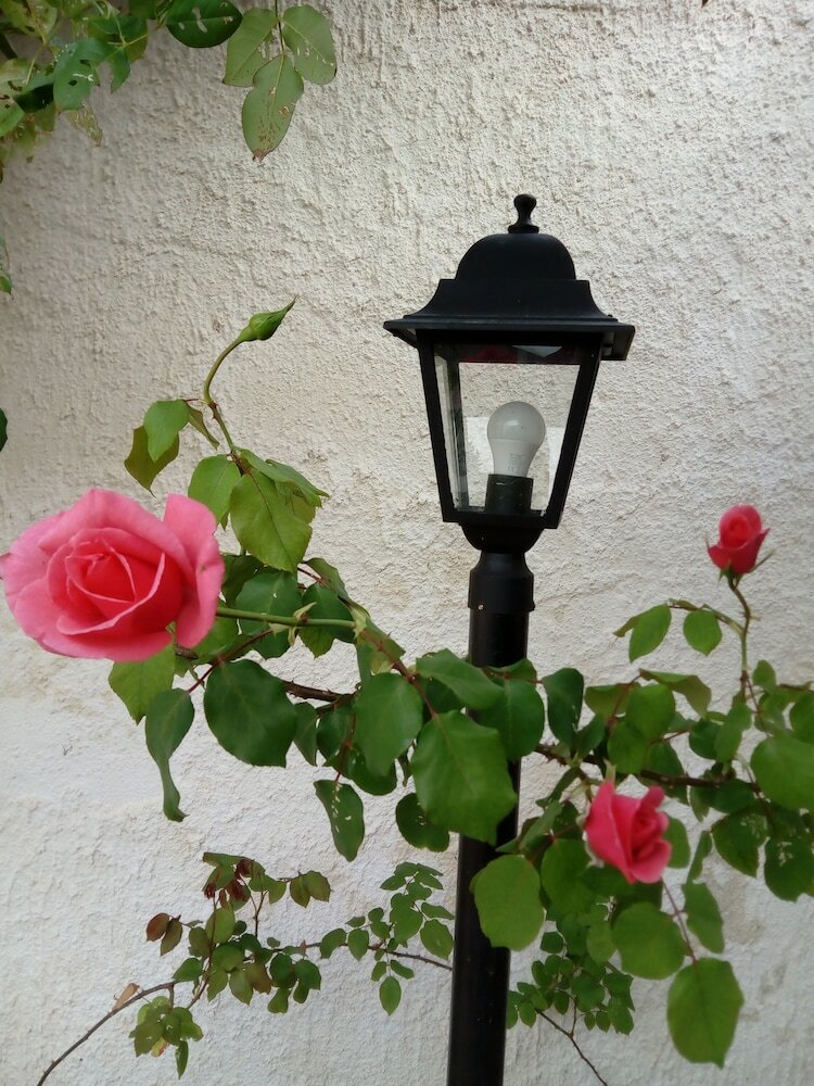 Apartamento Casa Antica