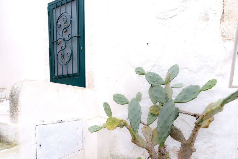 Apartamento Casina Nina