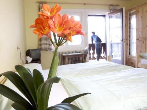 Hostal Gasthof Petra