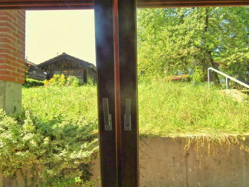 G�stehaus Zur F�rbe Apartments