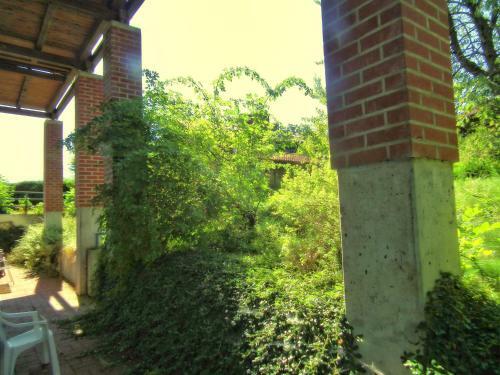 G�stehaus Zur F�rbe Apartments