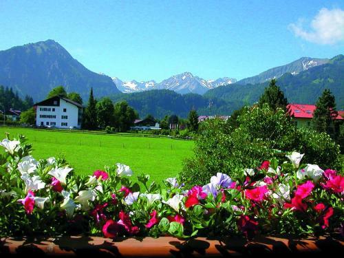 G�stehaus Zur F�rbe Apartments