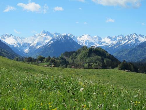 Apartamento G�stehaus Hornblick