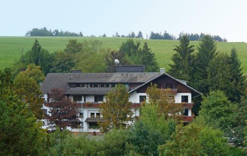 Alemannenhof Hotel Engel