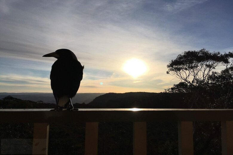 Narrow Neck Lodge