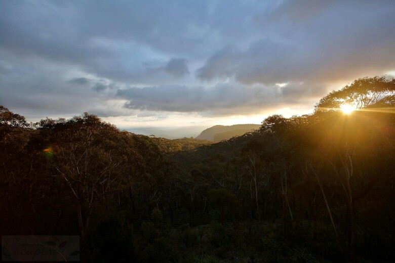Narrow Neck Lodge