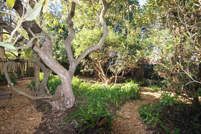 Stonewall Cottage And Studio