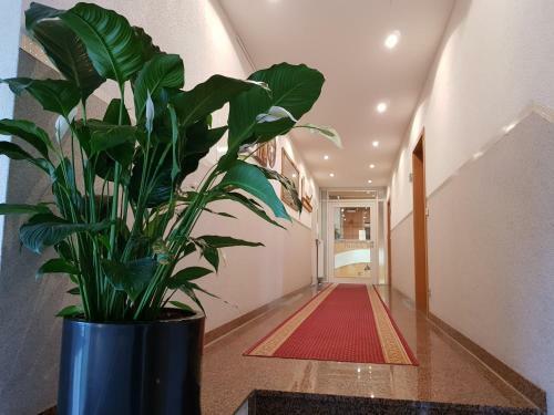 Hostal Hotel Habana