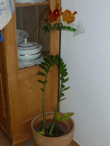 Apartamentos Appartmenthaus Moos B�u