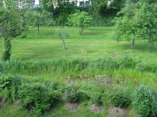 Apartamentos Appartementhaus Moos