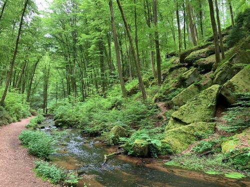 Hotel Burgsch�nke