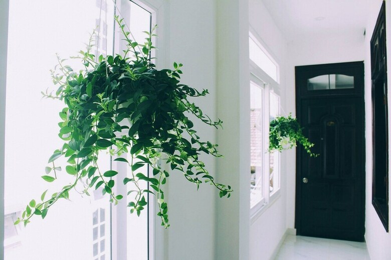 Aha Thien Bao Hotel Da Lat