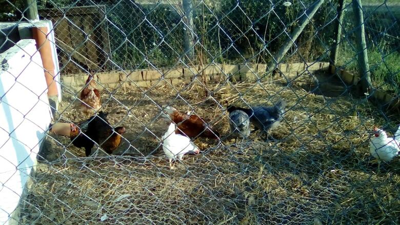 Agroturismo Finca Casa Halcon