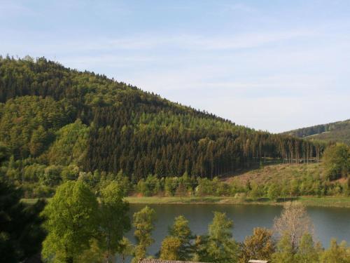 Spacious Apartment In Niedersfeld Near Lake