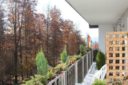 Hostal Pension Walddorf