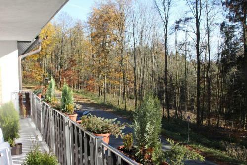 Hostal Pension Walddorf
