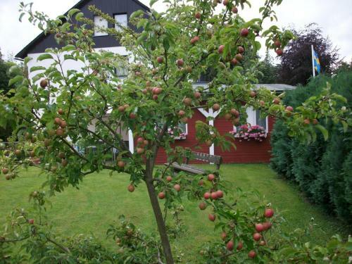 Hostal G�stehaus Tepel