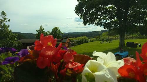 Hostal B&B All Seasons