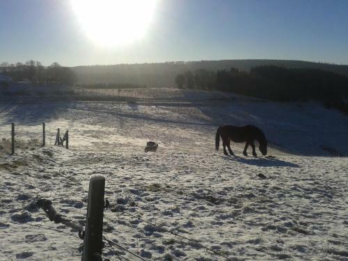Hostal B&B All Seasons