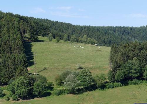 Hostal Gasthaus S�dhang