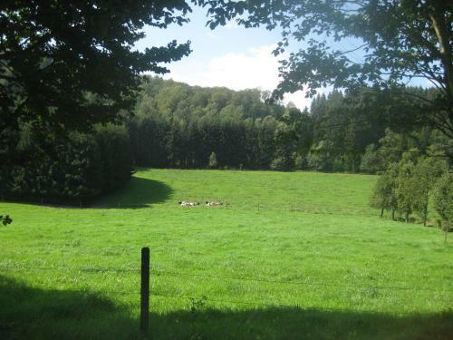 Hostal Pension-g�stehaus Waldhof