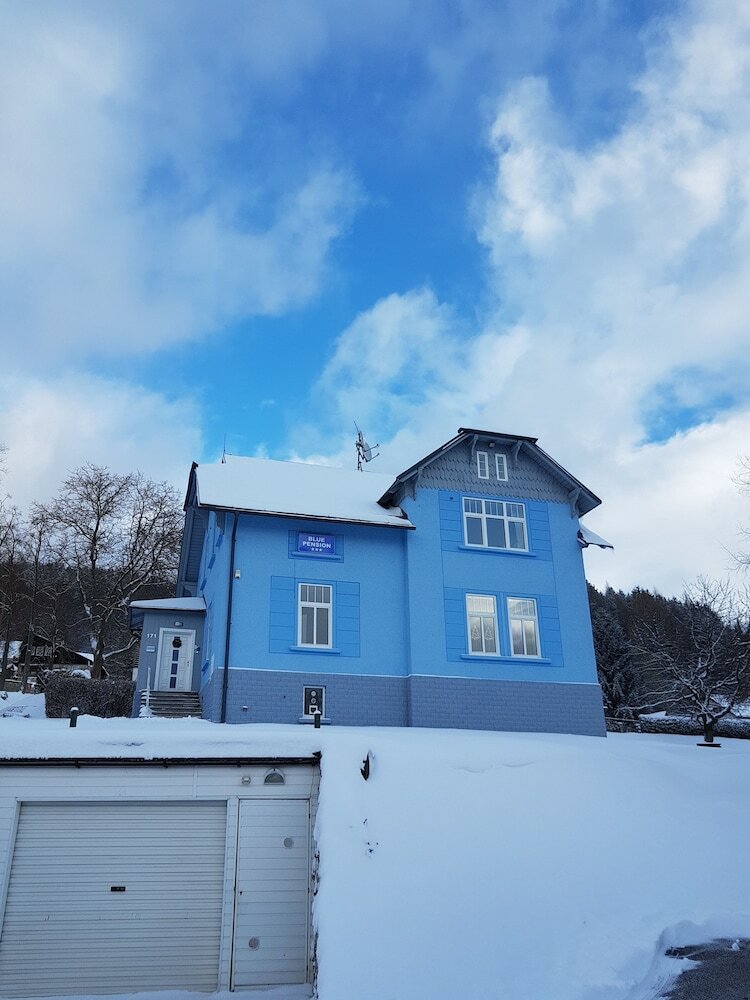 Blue Pension