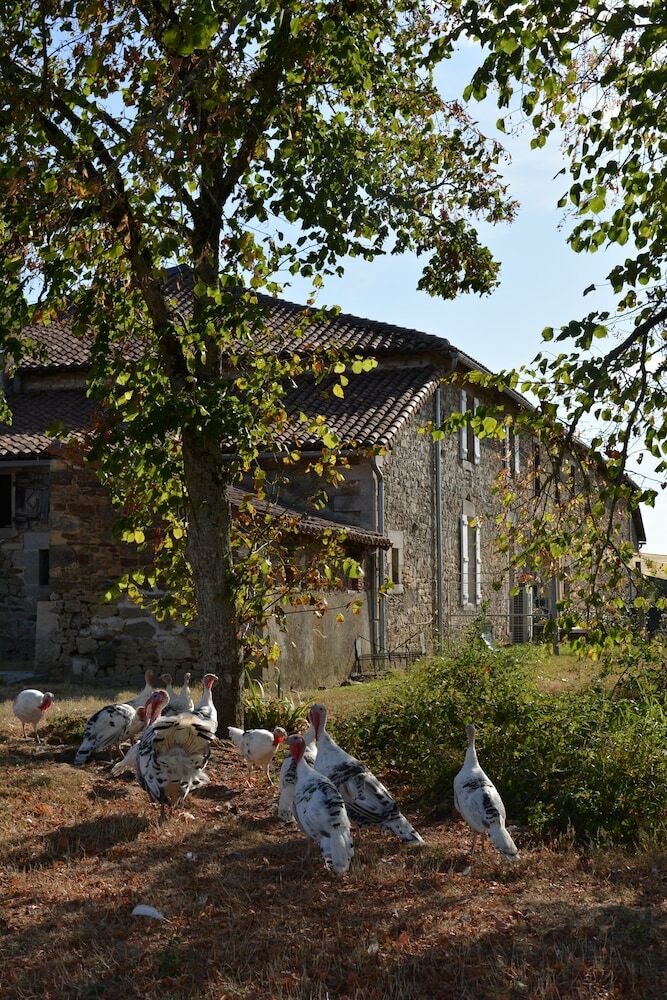 Hotel Domaine de Chez Peyraud
