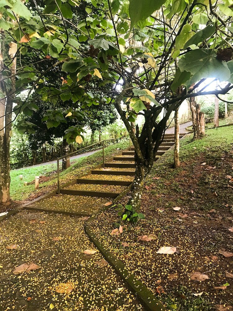 Hotel Spa Fazenda Igarata