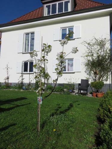 Apartamento Urlaub Bei Freunden
