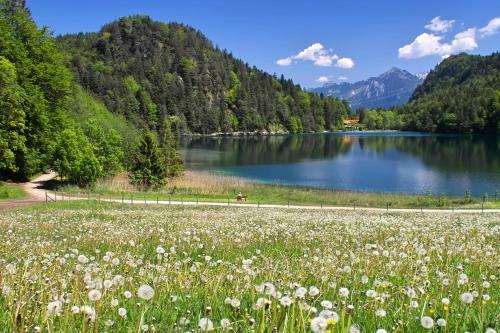 Hotel Restaurant Alatsee