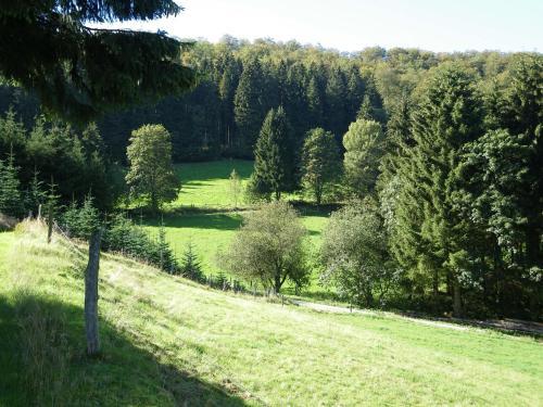 Hostal Gasthof Zur Hochheide