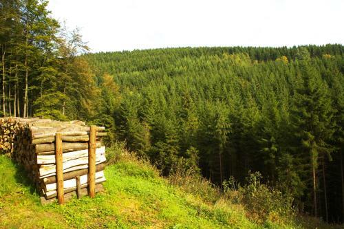 Hostal Hotel-caf� Z�schener Bauernstuben Garni