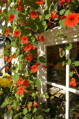 Hostal Hotel-caf� Z�schener Bauernstuben Garni