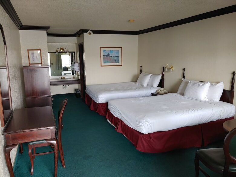 Hotel The New Pioneer