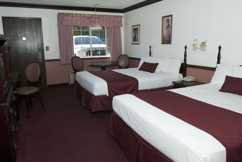 Hotel The New Pioneer