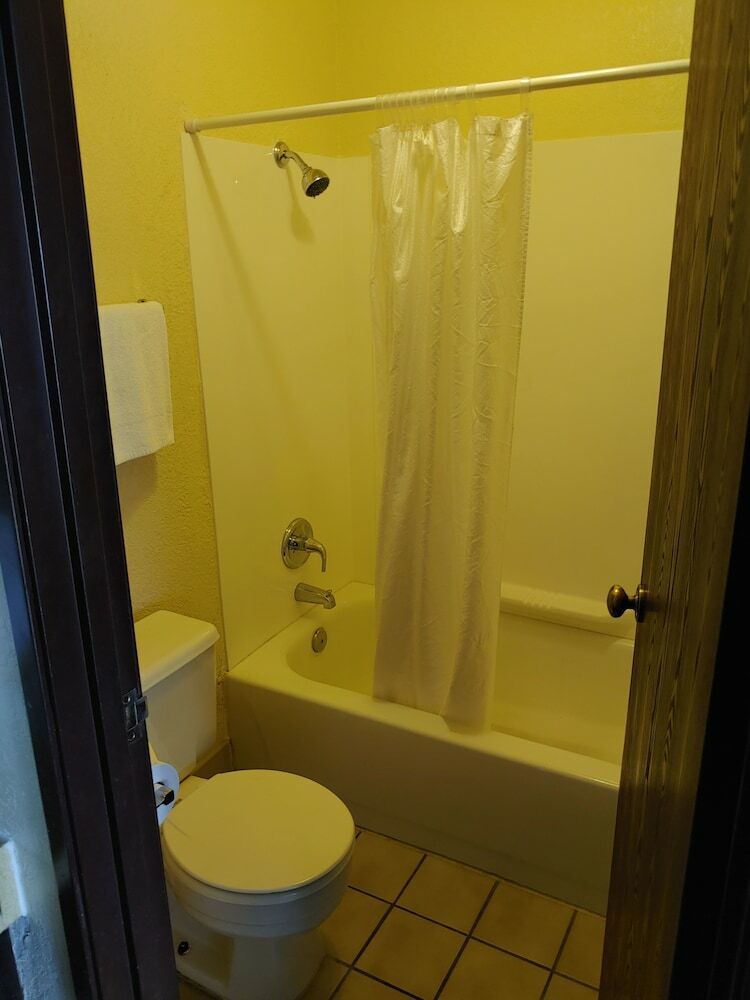 Hotel The New Pioneer
