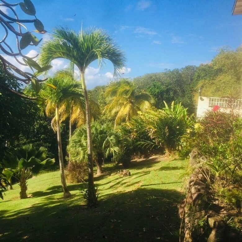 Sea Song Caribbean Villa