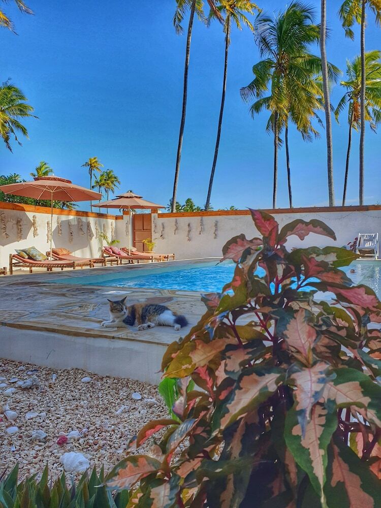 Apartamentos Residence Gadea Zanzibar