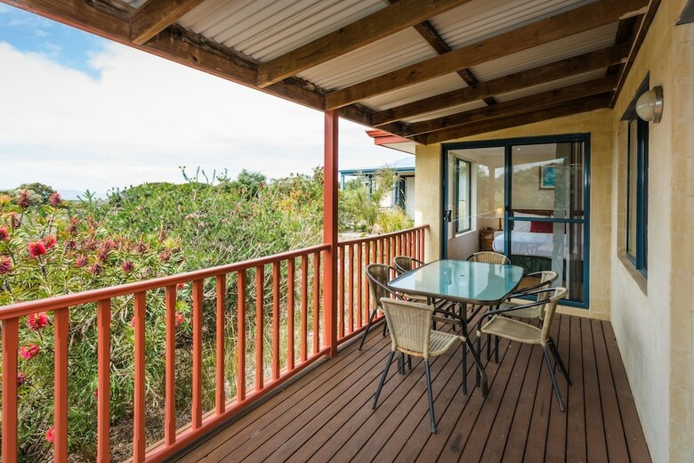 Banksia At Cosy Corner