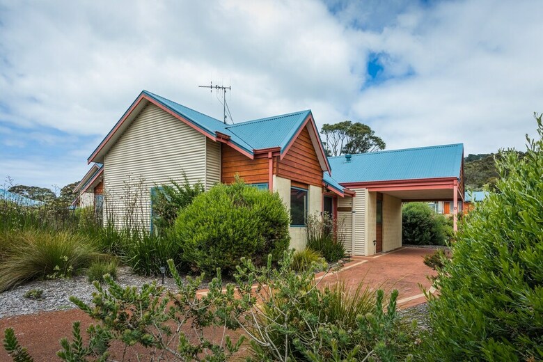 Banksia At Cosy Corner
