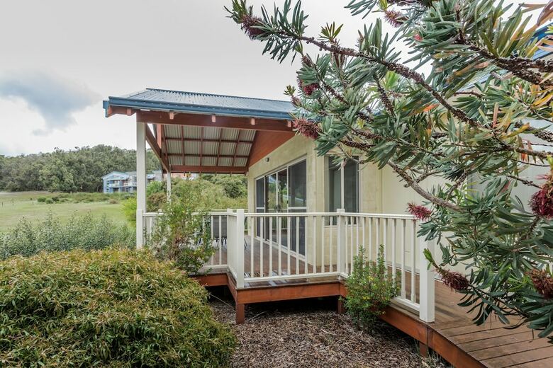 Banksia At Cosy Corner
