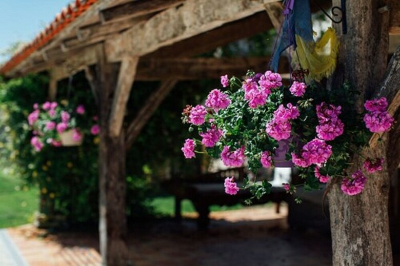 Bed & Breakfast Chez Vallee