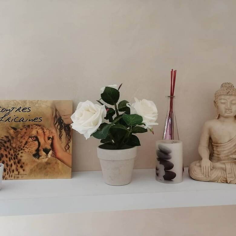 Bed & Breakfast Chambre Et Appartement Zen de Beauval