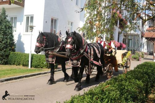 Hotel Wolfringm�hle