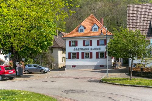 Hostal Gasthaus Zur Blume