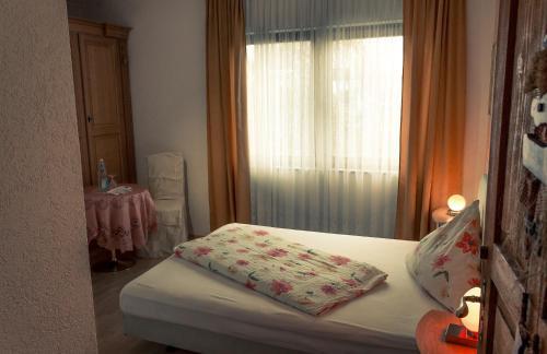 Hostal Hotel Adler