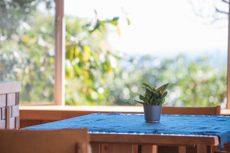 Shobusawa Log House