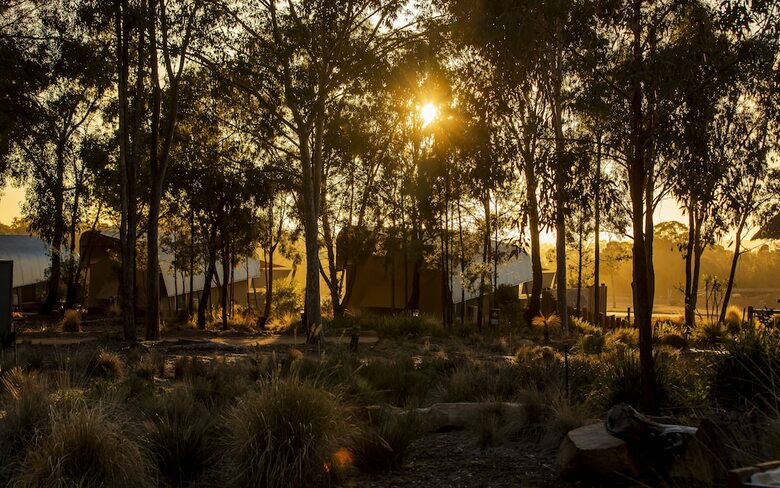 Posada Zoofari Lodge At Taronga Western Plains